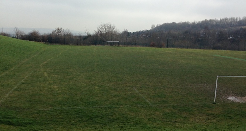Grass - Football - Junior gallery image 0
