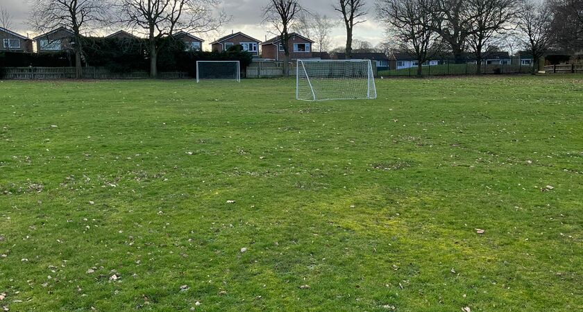 Grass Pitch gallery image 0