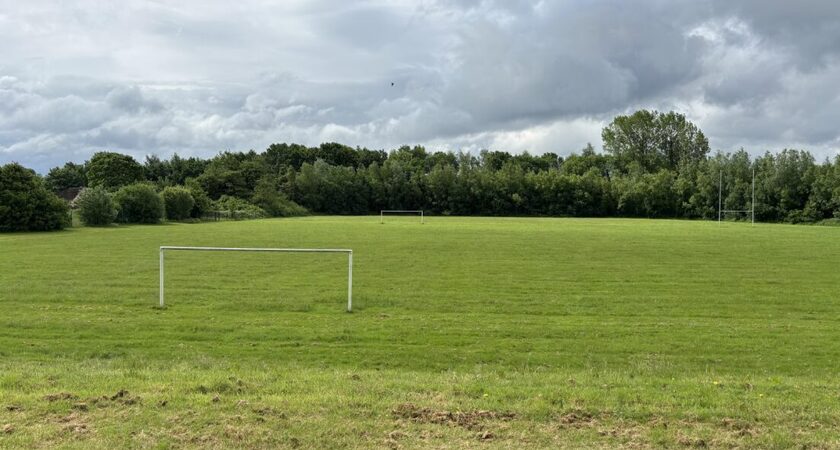Grass - Rounders and Softball gallery image 0