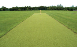 Photograph of Abbey Park - Grass - Cricket, Northside Campus