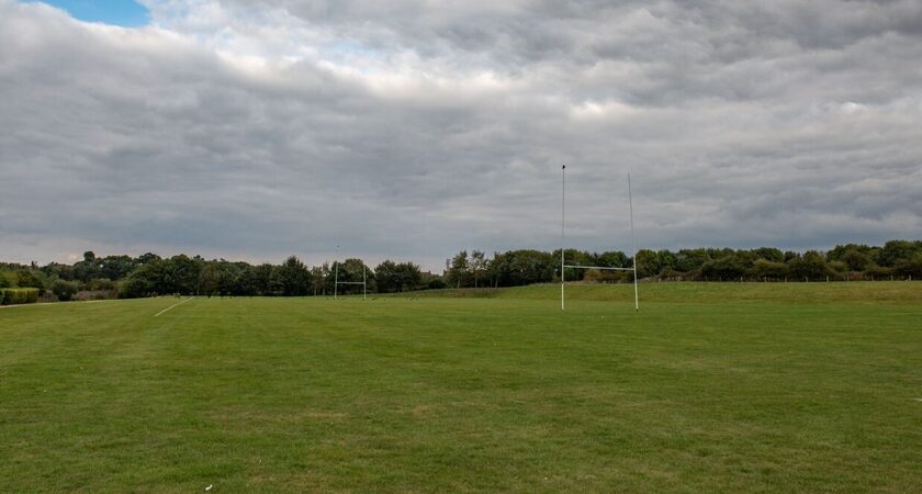 Grass - Rugby - 1 gallery image 0