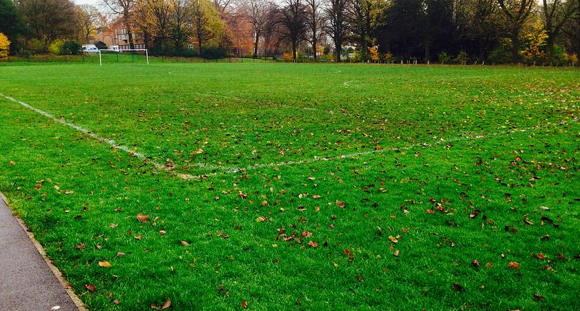Grass - 9 v 9 gallery image 0