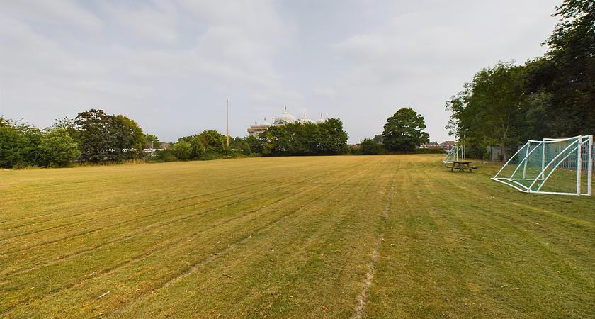 Grass Field gallery image 0