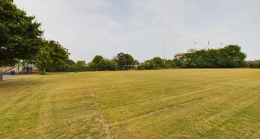 Grass Field gallery image 1