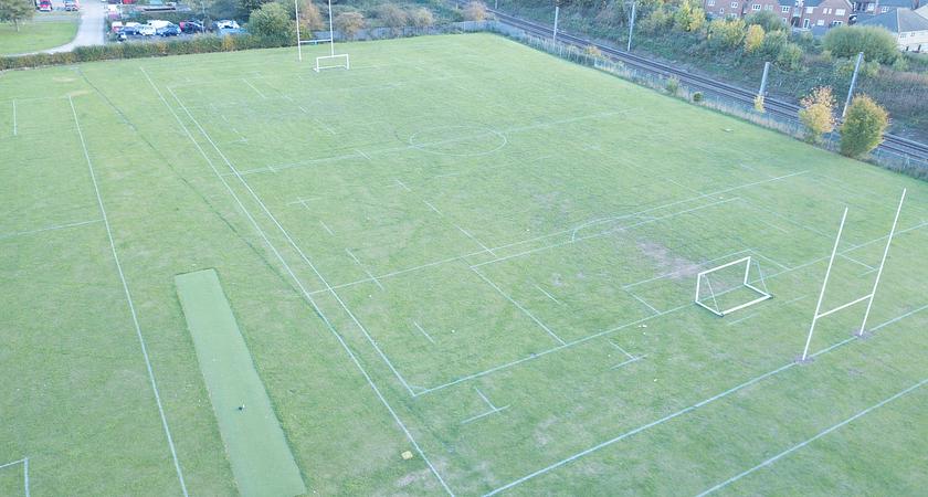 Grass Field gallery image 0