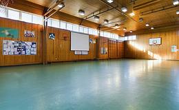 Photograph of Gymnasium , Finham Park School
