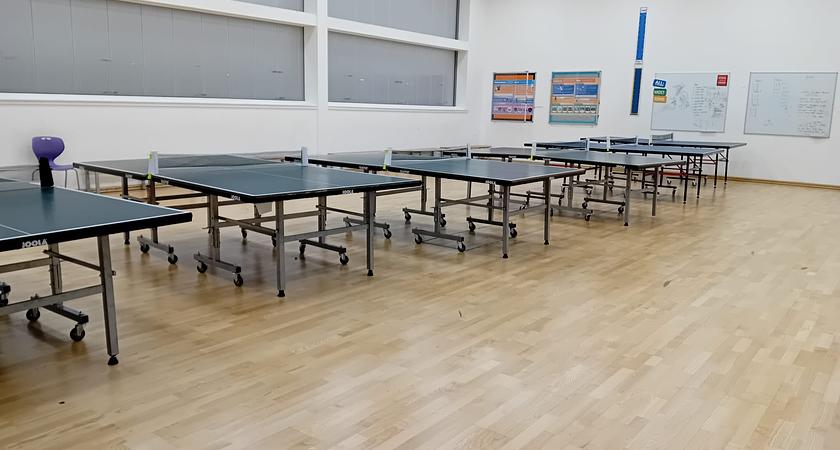 Activity Studio gallery image 0