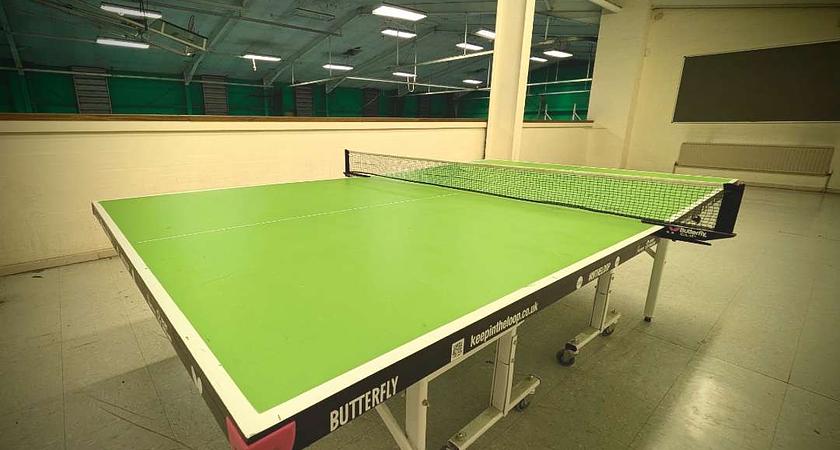 Table Tennis gallery image 0