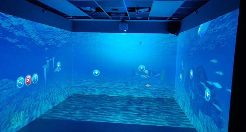 Immersive Room gallery image 0