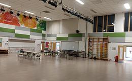 Photograph of Main Hall, Alderman's Green Primary
