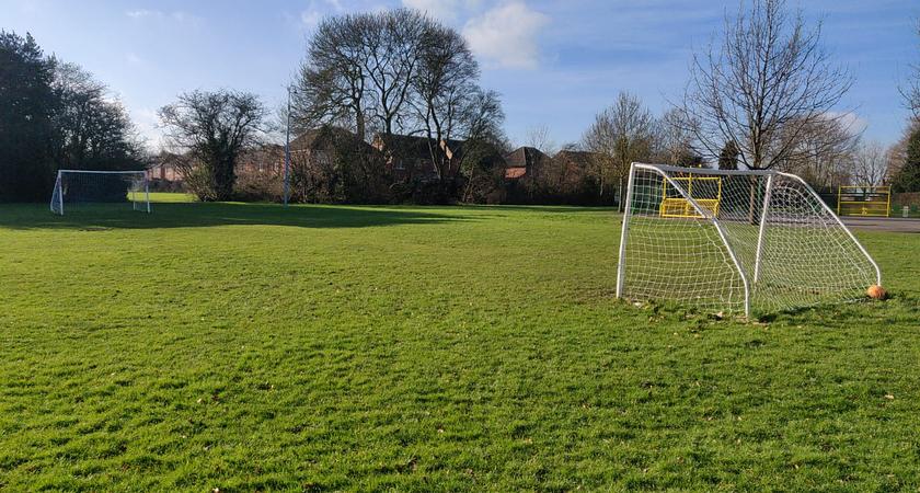 Grass Playground gallery image 0
