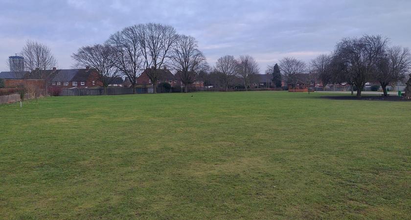 Grass Field gallery image 0