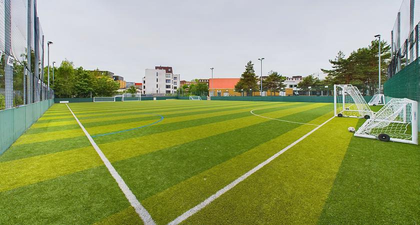 3G Pitch gallery image 0