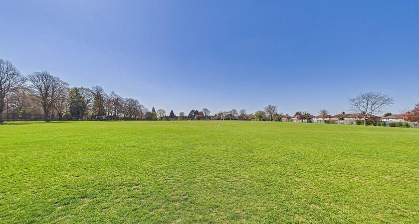 Grass Field gallery image 0