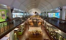 Photograph of History Gallery - Pick A Workshop, Bolton Library and Museum School Bookings