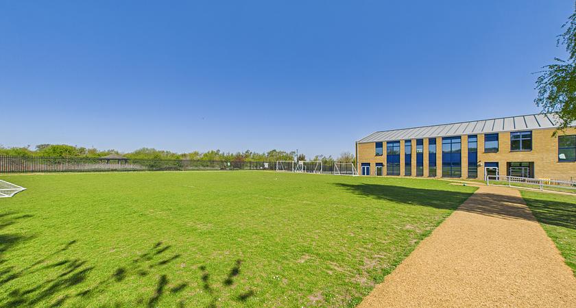 Grass - Playing Fields gallery image 0