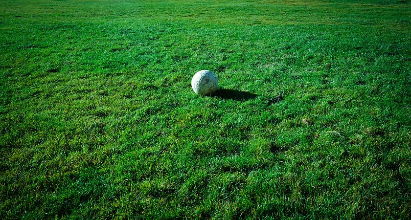 Field gallery image 0