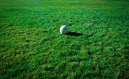 Photograph of Field, Haydon School