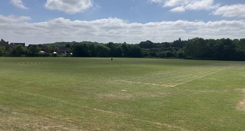 Field gallery image 0