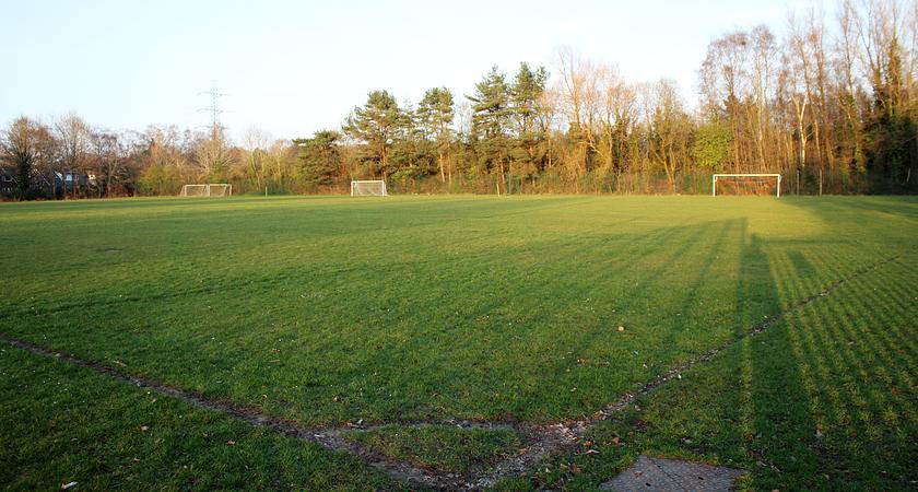 Grass Pitch gallery image 0