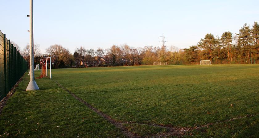 Grass Pitch gallery image 1