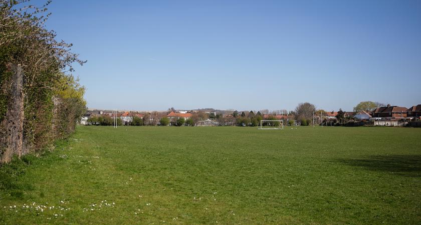Field gallery image 0