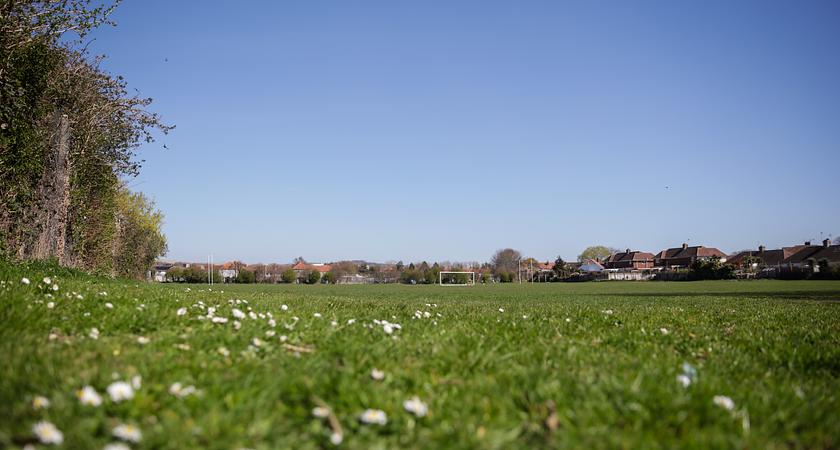 Field gallery image 1