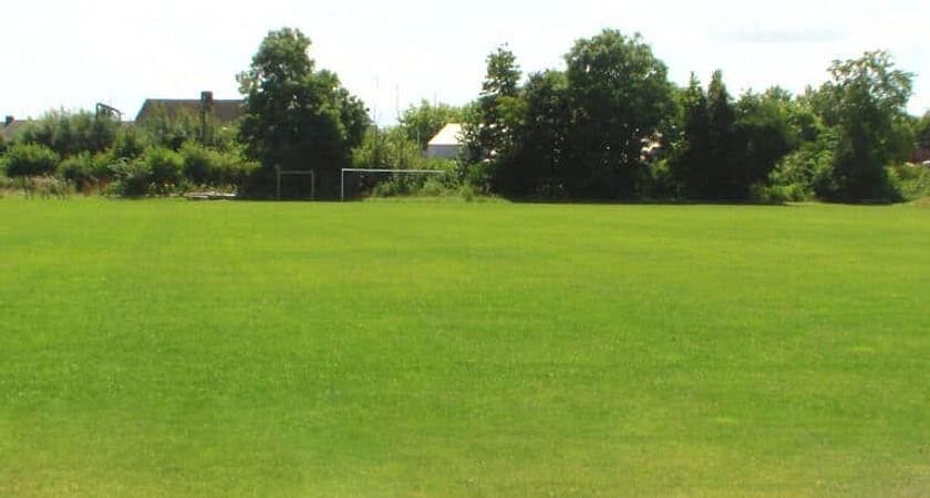 Grass Pitch gallery image 0