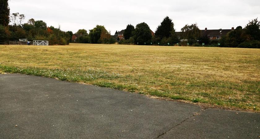 Grass Field gallery image 0