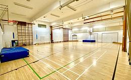 Photograph of Gymnasium, Durrington High Leisure