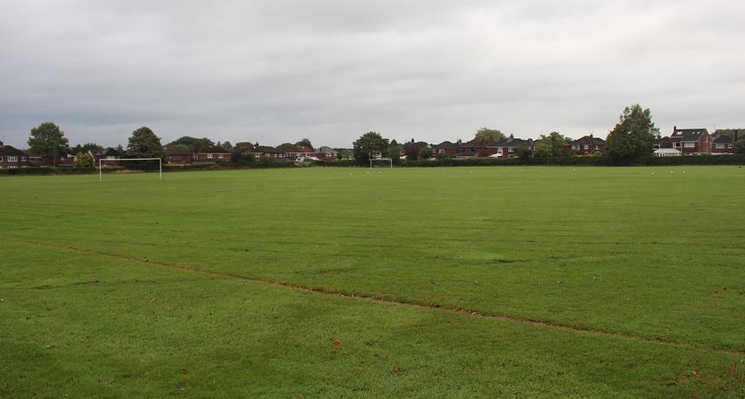 Playing Field  gallery image 0
