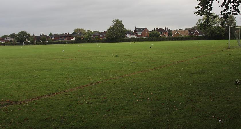 Playing Field  gallery image 1