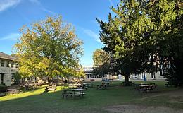 Photograph of Quad, Woodhouse College