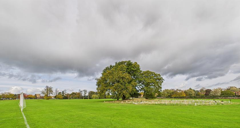 Grass Football Pitch(es) gallery image 0
