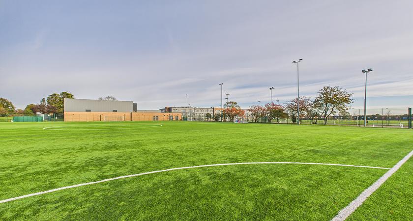 3G Pitch (Full) gallery image 1