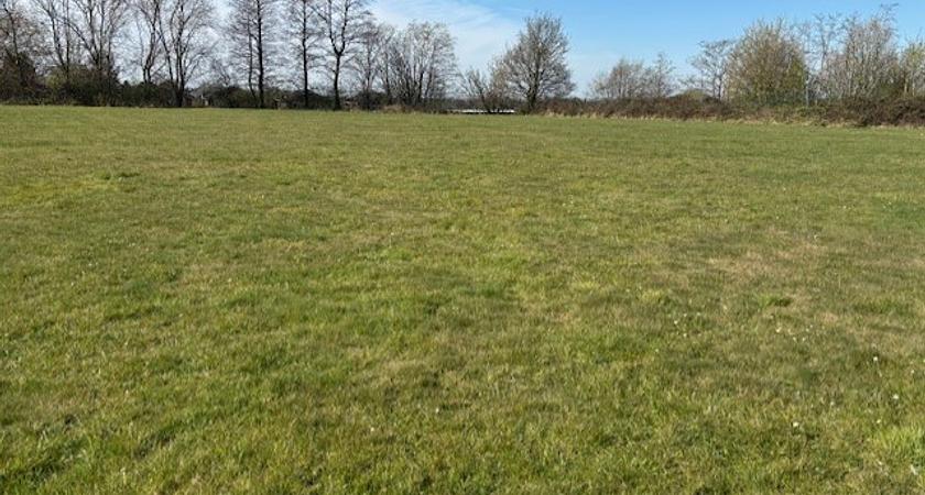 Grass Pitches gallery image 0