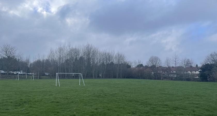 Grass Pitch gallery image 0