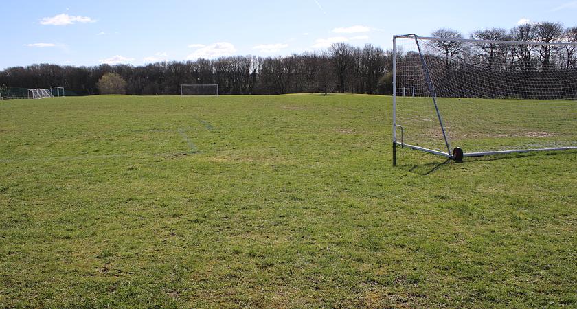 Whole Academy Field gallery image 0