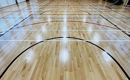 Photograph of Girls Gym, Tadcaster Grammar School