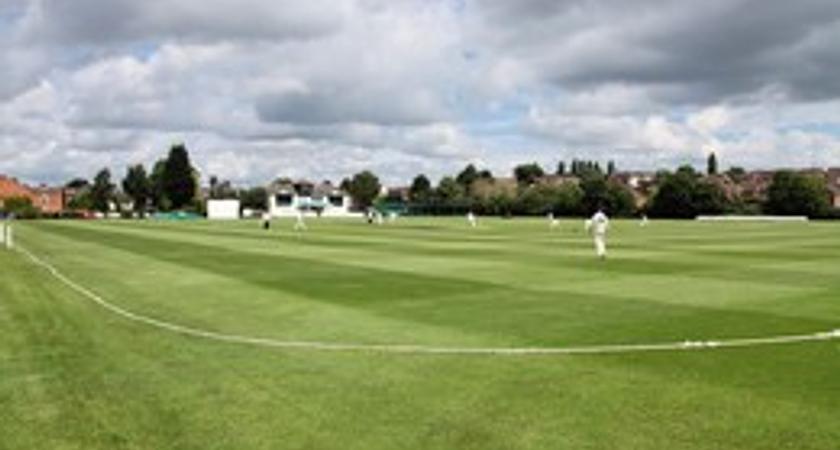 Flagge Meadow Astroturf (Artificial) Nets  gallery image 0