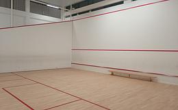 Photograph of Squash Courts (Combined), Hertswood Academy