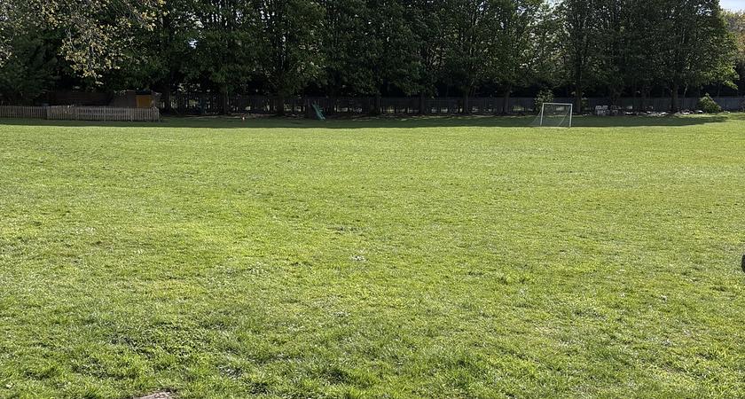 Grass Field gallery image 0