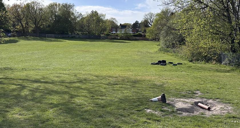 Grass Field gallery image 1