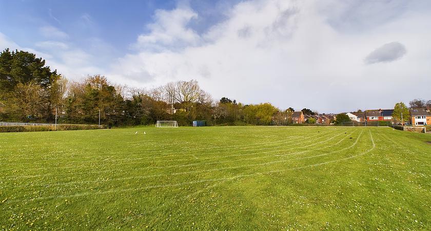 Grass pitches* gallery image 0