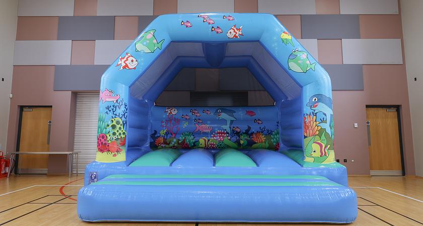 Bouncy Birthday Party Package gallery image 0