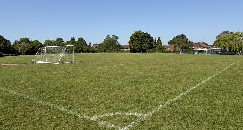 Grass Field gallery image 0