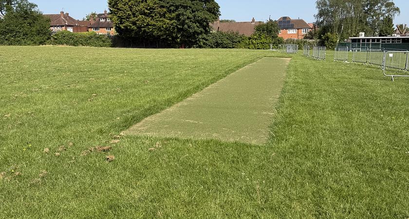 Grass Field gallery image 1