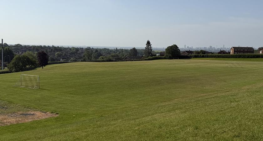 Grass Field gallery image 1