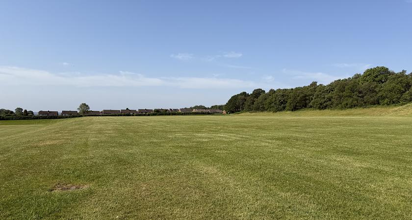 Grass Field gallery image 2