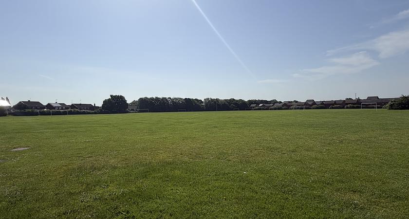 Grass Field gallery image 0